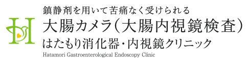 鎮静剤を用いて苦痛なく受けられる大腸カメラ（大腸内視鏡検査）はたもり消化器・内視鏡クリニック Hatamori Gastroenterological Endoscopy Clinic